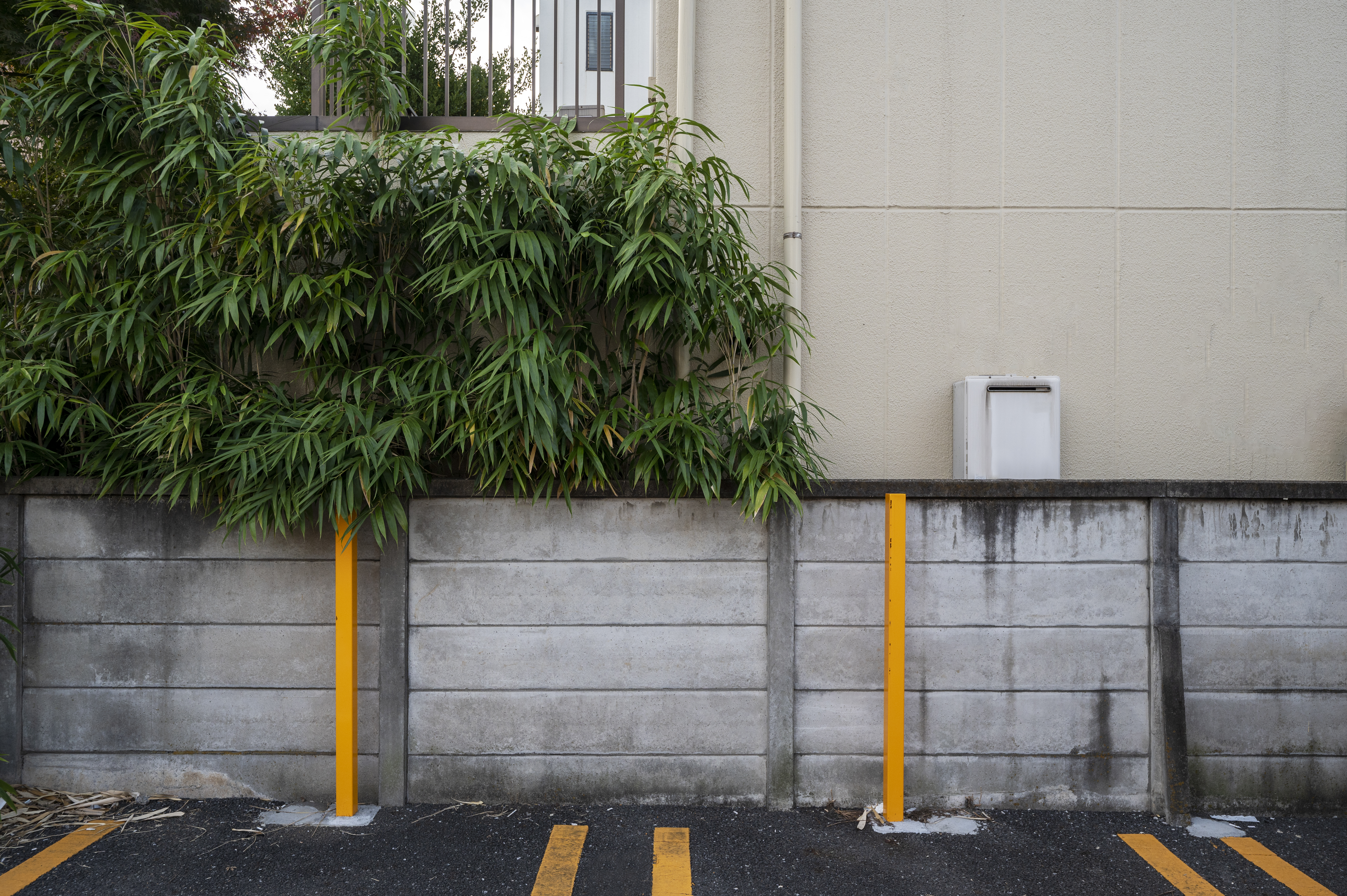 Weather-resistant paints to protect your home’s outer walls